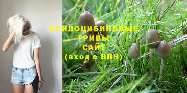 хмурый Краснотурьинск