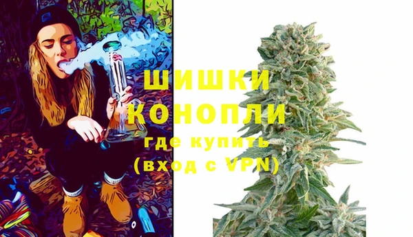 шишки Красноперекопск
