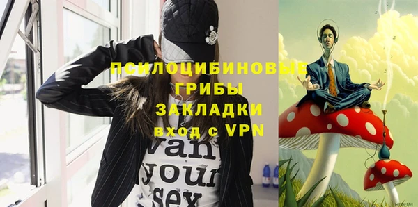шишки Красноперекопск