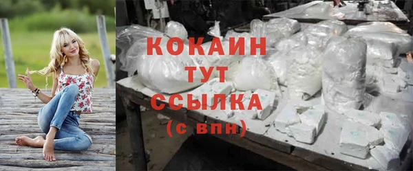 круглые Корсаков