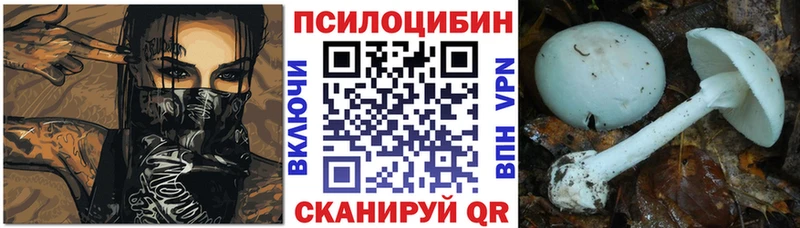 Псилоцибиновые грибы Psilocybe  Магас 